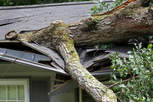 Storm Remediation in Fairhope