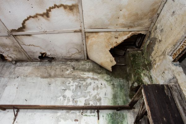 Water Damage Service in Fairhope