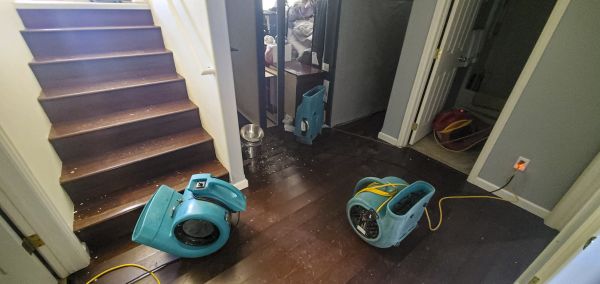 Water Damage Remediation in Fairhope