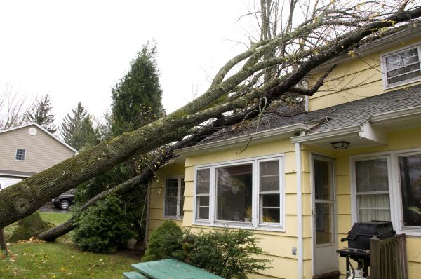 Hurricane Damage Repair in Fairhope